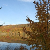 Herbst 2012 003 : Rosarium am See